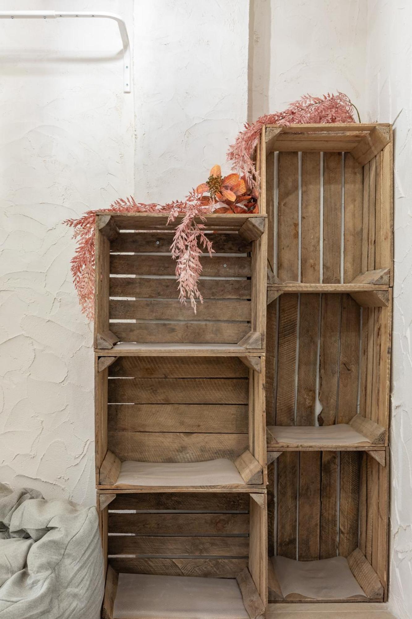 Apartamento Bosque Encantado Hm13 발렌시아 외부 사진